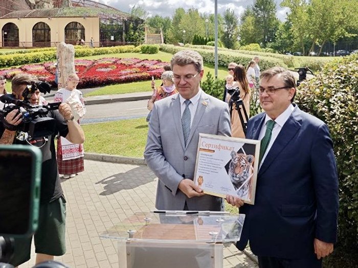 Россия передала амурского тигренка Минскому зоопарку 